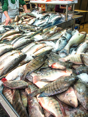 Fish on the counter of the street market. Seafood, catch, fisherman.