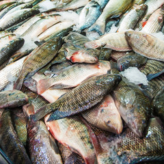 Fish on the counter of the street market. Seafood, catch, fisherman.