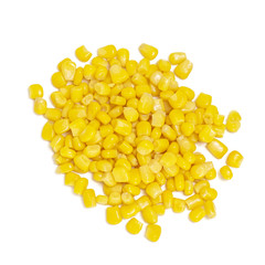 Sweet corn isolated on white background. top view