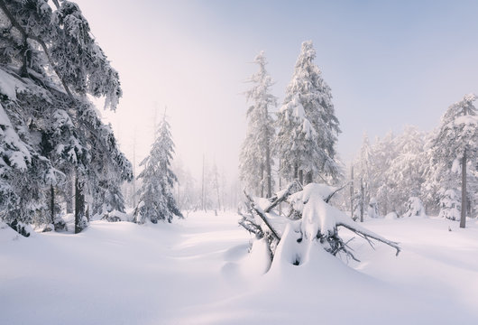 Sonnenaufgang und Nebel im Winterwald des Fichtelgebirges