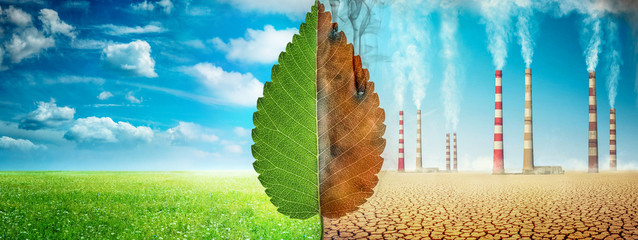 A tree leaf on a background of grass and clouds versus a withered leaf on a background of a dead...