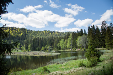 Obraz premium Landscape at the small Arbersee in Bavaria