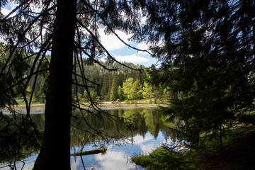 Obraz premium Landscape at the small Arbersee in Bavaria