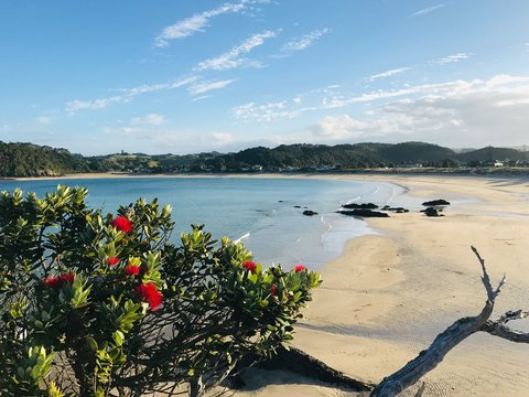 Matapouri Bay, New Zealand