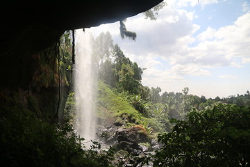 wodospad i bujna roślinność w lesie deszczowym
