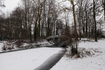 Winter day in city Sint-Niklaas, Belgium