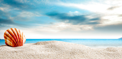 Obraz na płótnie Canvas Seashells on the sand by the sea on a hot sunny day 