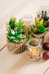 Various types of cactus, plant , succulent house plants in pots on wooden table  background