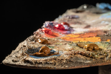 Oil art paints on a very old palette. close-up