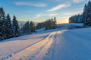 cross country skking track at sunset in the Bregenzer wald area of Vorarlberg, Austria