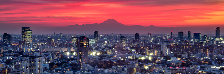 Naklejka premium Tokio panorama przy zmierzchem