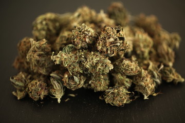 cannabis business concept. Medical Marijuana  hemp 