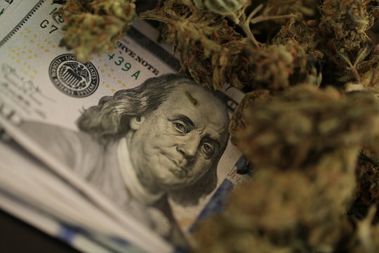 cannabis business concept. Medical Marijuana  hemp and Money
