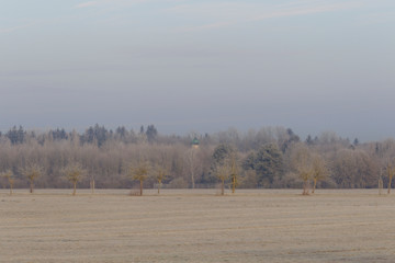 Frost-covered meadows and bushes in front of an old mansion in Siebenbrunn near Augsburg