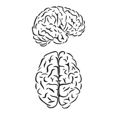 Brain outline symbols