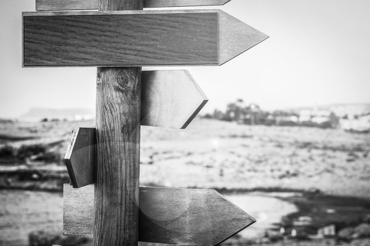 on nature by the sea direction background