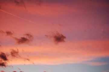 Pink and Blue Sky Portrait