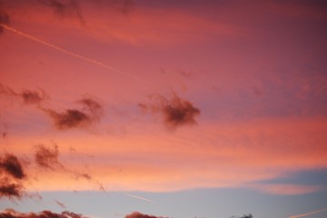 Pink and Blue Sky Portrait