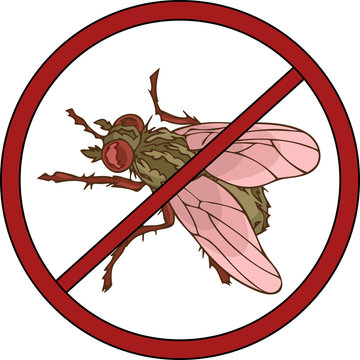 On vector illustration realistic fly and stop sign, denoting the destruction of insects.