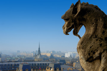 gargoyle notre dame de paris