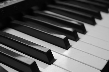 Teclas de Pieanio, detalle