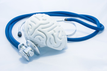 Model of human brain with convolutions and blue stethoscope are on white uniform background. Concept photo health or pathological condition of human brain, diagnosing diseases of  nervous system