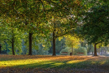 Letzte Sonnenstrahlen im Herbst in Regensburg, Deutschland