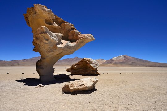 Rock formation Arbol de Piedra, stone tree, Reserva Nacional de Fauna Andina Eduardo Abaroa, Altiplano, Sur Lipez, Bolivia, South America
