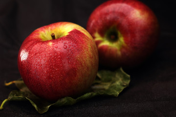 two red apples on a leaf
