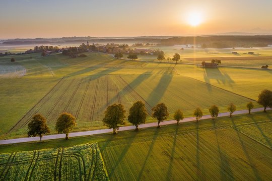 Country road with tree row at sunrise, punching at Dietramszell, drone view, Tolzer Land, Upper Bavaria, Bavaria, Germany, Europe