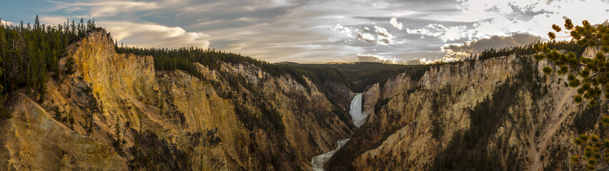 grand canyon of yellowstone