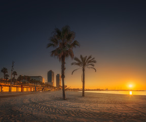 Fototapeta premium Dramatic sunrset on beach of Barcelona with palm
