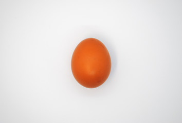 The brown egg on the white background