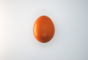 The brown egg on the white background