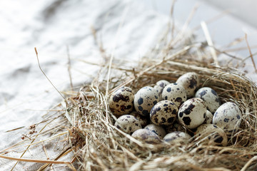 Obraz premium holiday of light Easter