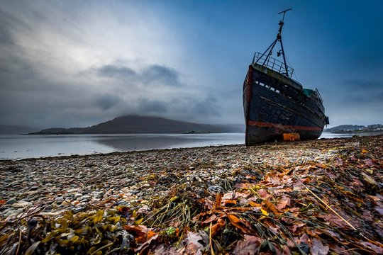 Ship wreck at Loch Eil with coloured leaves in the foreground, Fort William, west Highlands, Scotland, United Kingdom, Europe