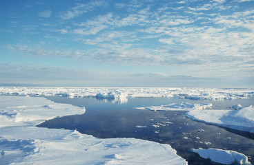 Fototapeta na wymiar Antarctica; the icebreaker does its work