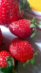 Strawberry on White Dish Background