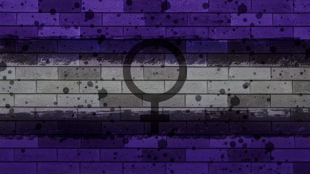 feminist flag brick background