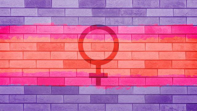  feminist flag brick background