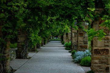 dark garden pathway