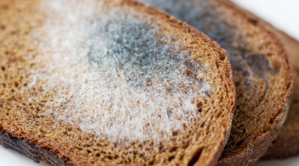 Sliced bread with mildew. Products unsuitable for consumption_