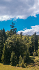 Fototapeta na wymiar Smartphone HD wallpaper of beautiful alpine view at Steinberg near the Achensee - Tyrol - Austria