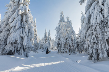 Orlicke mountains, Czech Republic