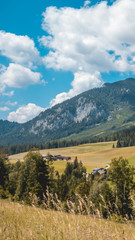 Fototapeta na wymiar Smartphone HD wallpaper of beautiful alpine view at Steinberg near the Achensee - Tyrol - Austria