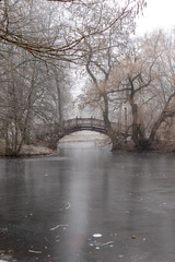 Zugefrorener Teich im Park mit Romantischen Brücken im Winter in Leipzig  bei frostigen nebligen...