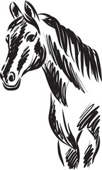 horse vector drawing illustration