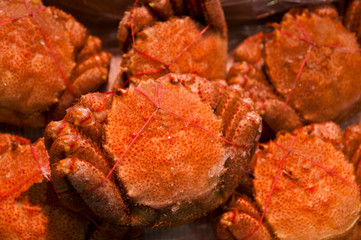 Fresh crabs on a seafood market, ready for sale