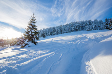 Am Fichtelbeg im Winter