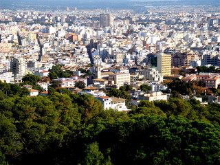 Obraz premium Palma de Mallorca